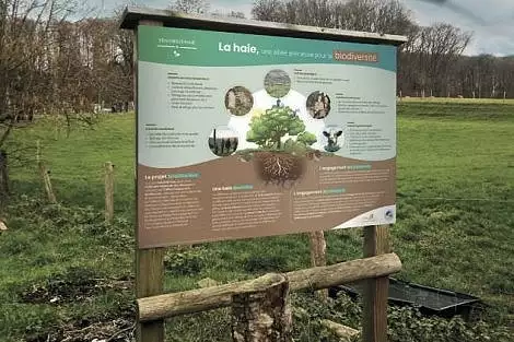 Illustration de Plantation Sensibil'haie > 15 février 2024